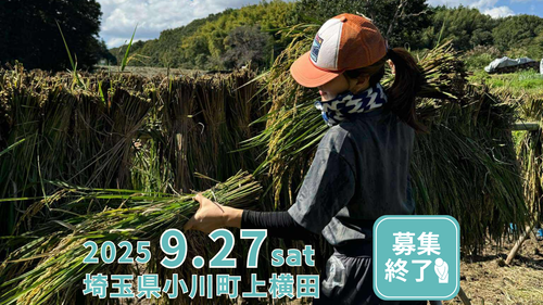 五感でたのしむ、実りの秋の稲刈り体験 in 小川町
