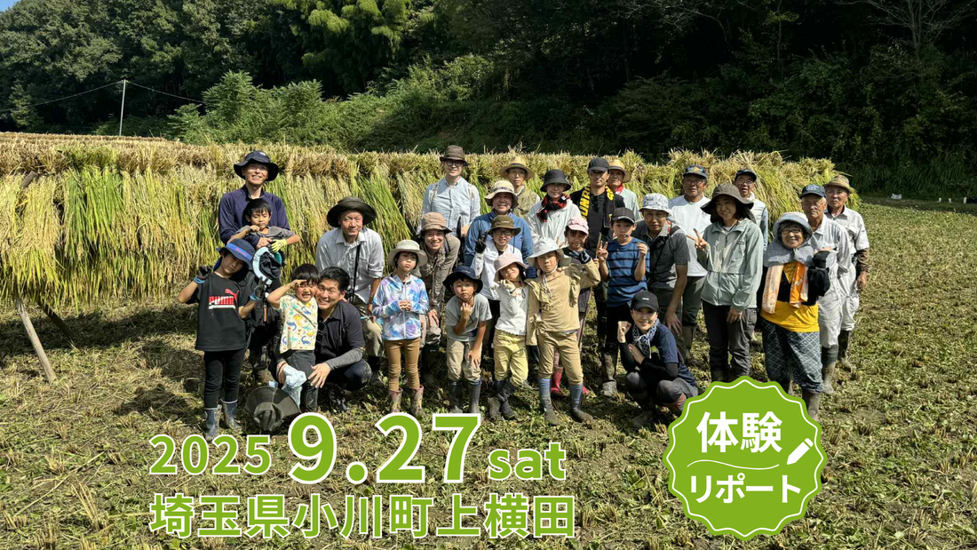 五感でたのしむ、実りの秋の稲刈り体験 in 小川町【体験リポート】