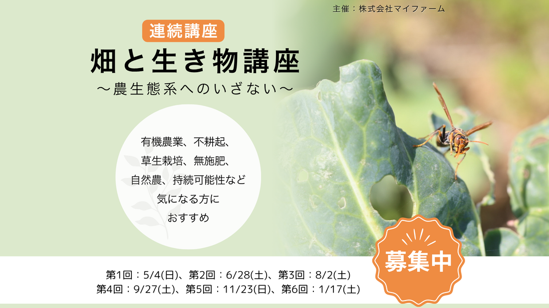 「畑と生き物講座～農生態系へのいざない～」