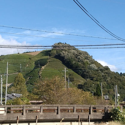 和束農園