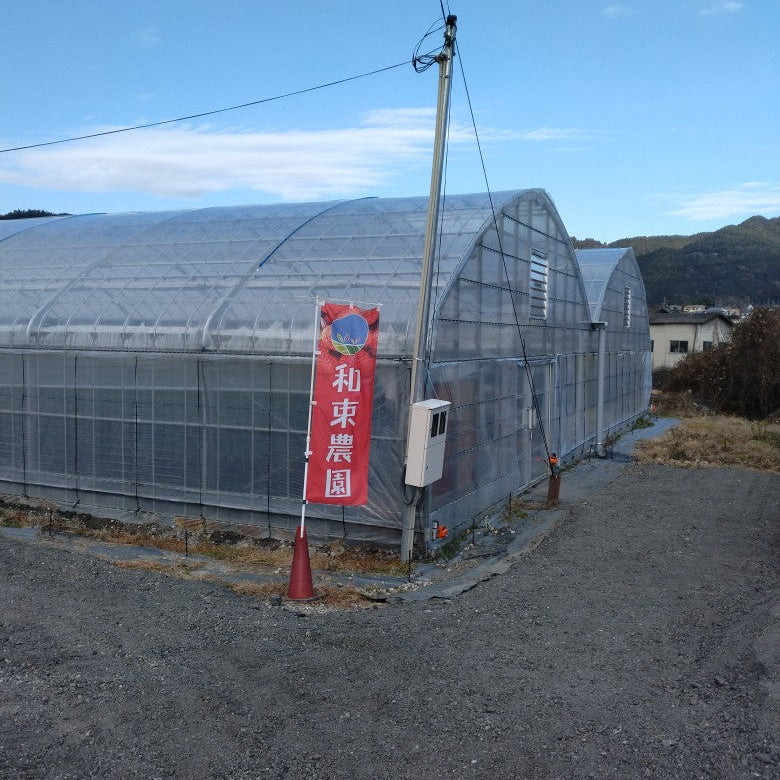 和束農園
