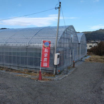 和束農園