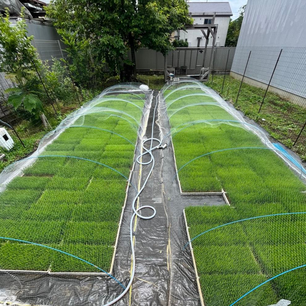 ごろめいふぁーむ