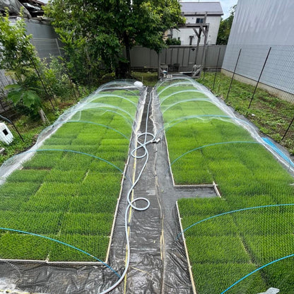 ごろめいふぁーむ