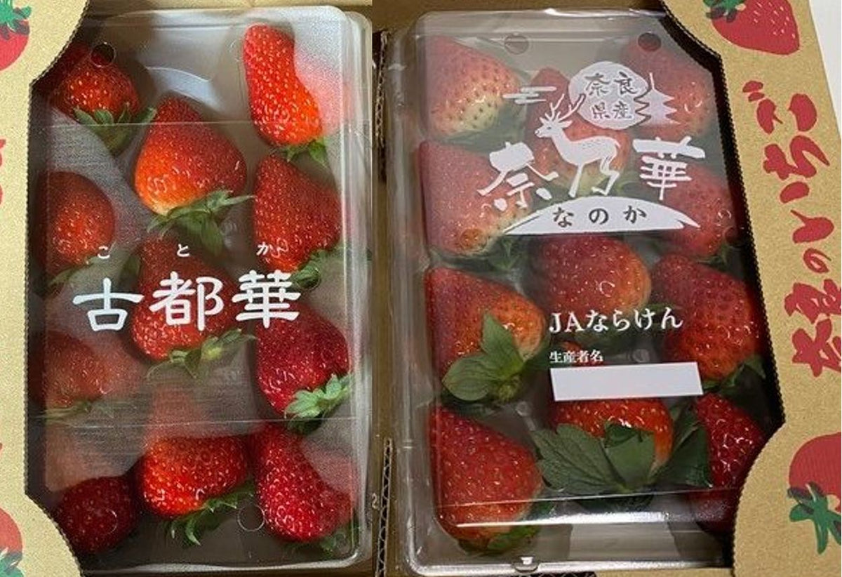 冬木農園