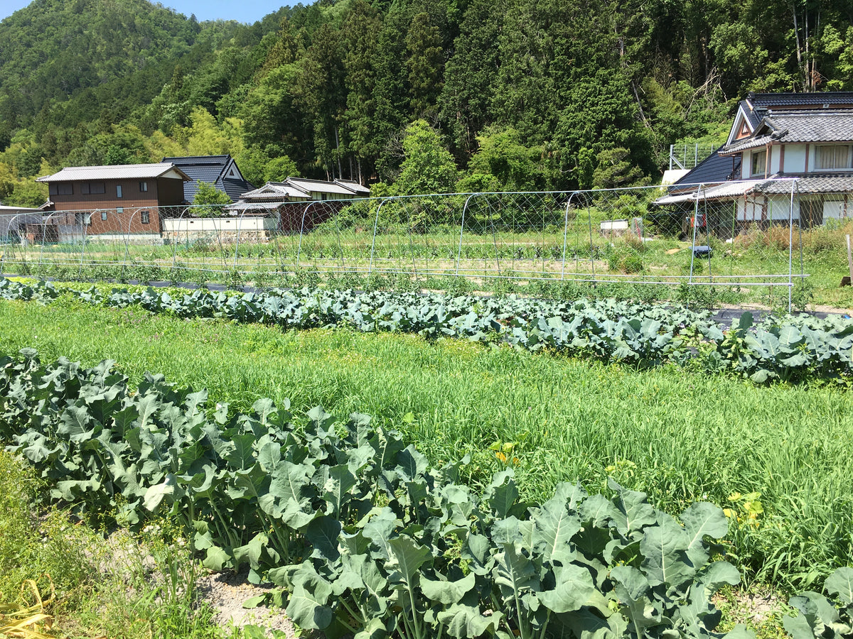 竹岡グリーンファーム